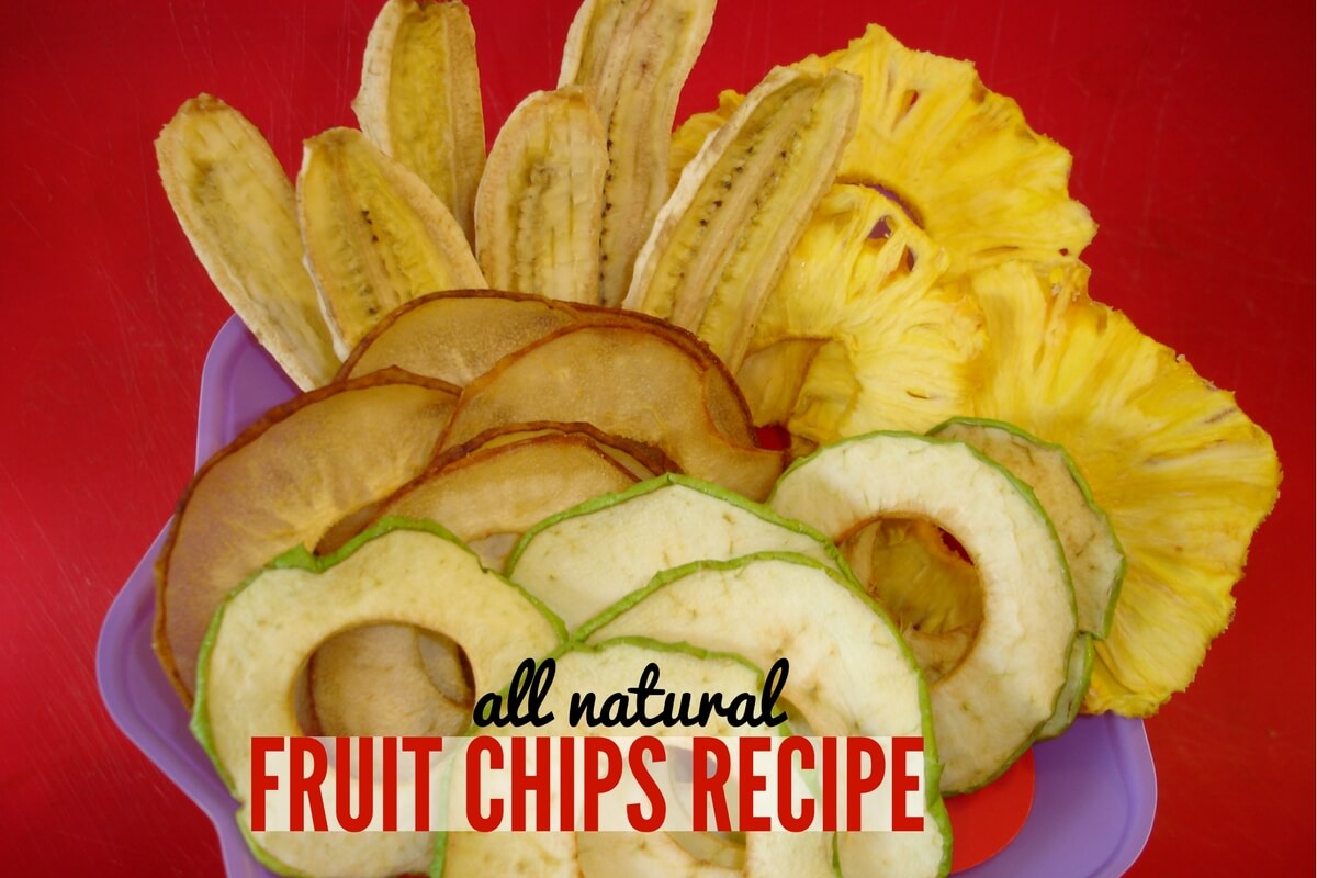 Natural Fruit Chip Recipe in the Dehydrator - Gluten Free & Vegan