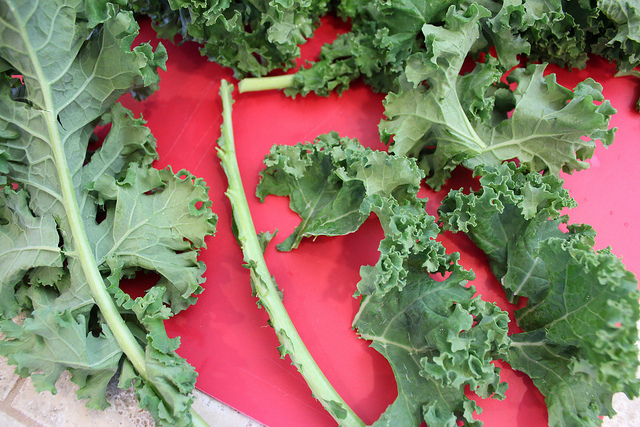 How to De-vein a Kale Stalk for Kale Chips
