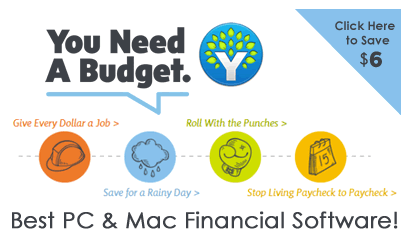 how to use you need a budget