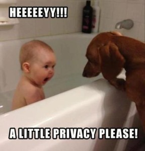 a little privacy please