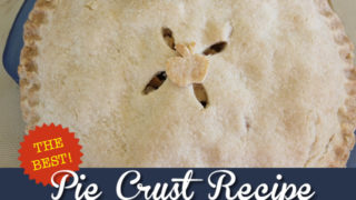 Gluten Free Vegan Pie Crust Recipe Easy Light Flakey,Oil And Vinegar Dressing Recipe For Coleslaw