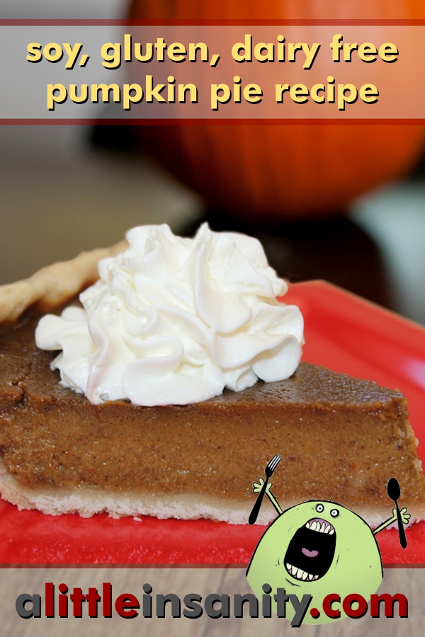 Soy, Nut, Gluten and Dairy Free Pumpkin Pie Recipe