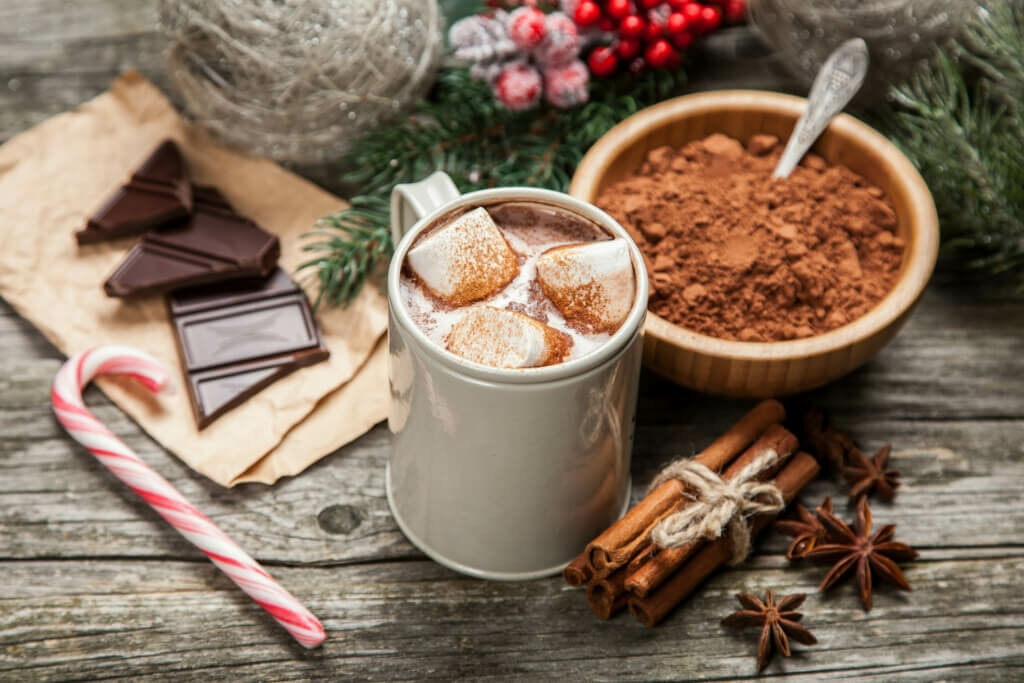 Gluten Free Vegan Instant Hot Chocolate Cocoa Mix Recipe